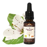 Biofloral Cherry Plum 6 20ml