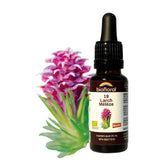 Biofloral 19 Larch 20mL