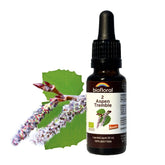 Biofloral Aspen Flower Essence Remedy 20ml