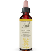 Bach Gentian 20ml
