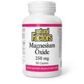 Natural Factors Magnesium Oxide 250 mg 90c
