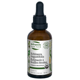 St. Francis Herb Echinacea Angustifolia 50ml