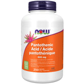 NOW Pantothenic Acid 500mg 250 Vegetable Capsules