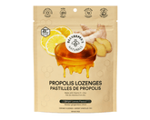 Beekeeper's Propolis Lozenges Lemon Ginger 50g - Nature's Source Inc