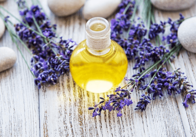 Lavender Oil - Nature's Source Inc