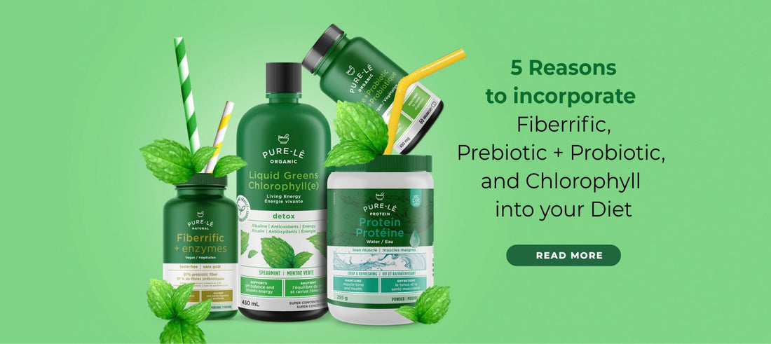 5 Reasons to Incorporate Fiberrific, Prebiotic + Probiotic, and Chlorophyll Into Your Diet - Nature's Source Inc