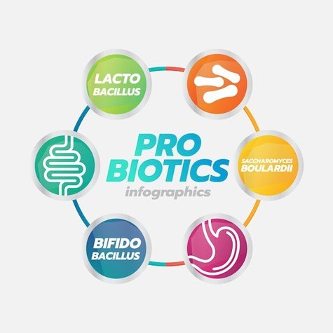 The Ultimate Guide to Probiotics: Benefits, Types & How to Choose the Right One - Nature's Source Inc