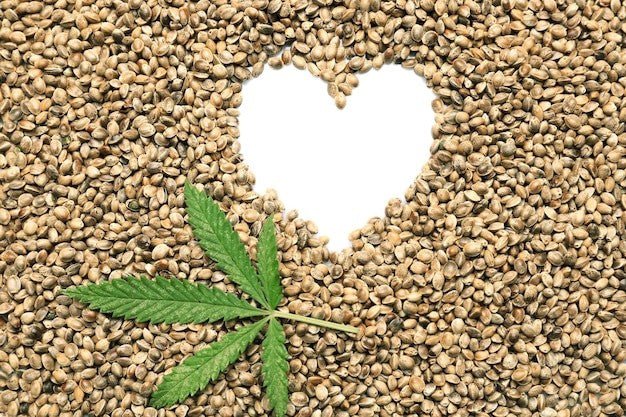 What’s so special about hemp hearts’ nutrition profile? - Nature's Source Inc