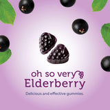 Nature's Way Sambucus Elderberry Immune Support 60 Gummies - Nature's Source Inc