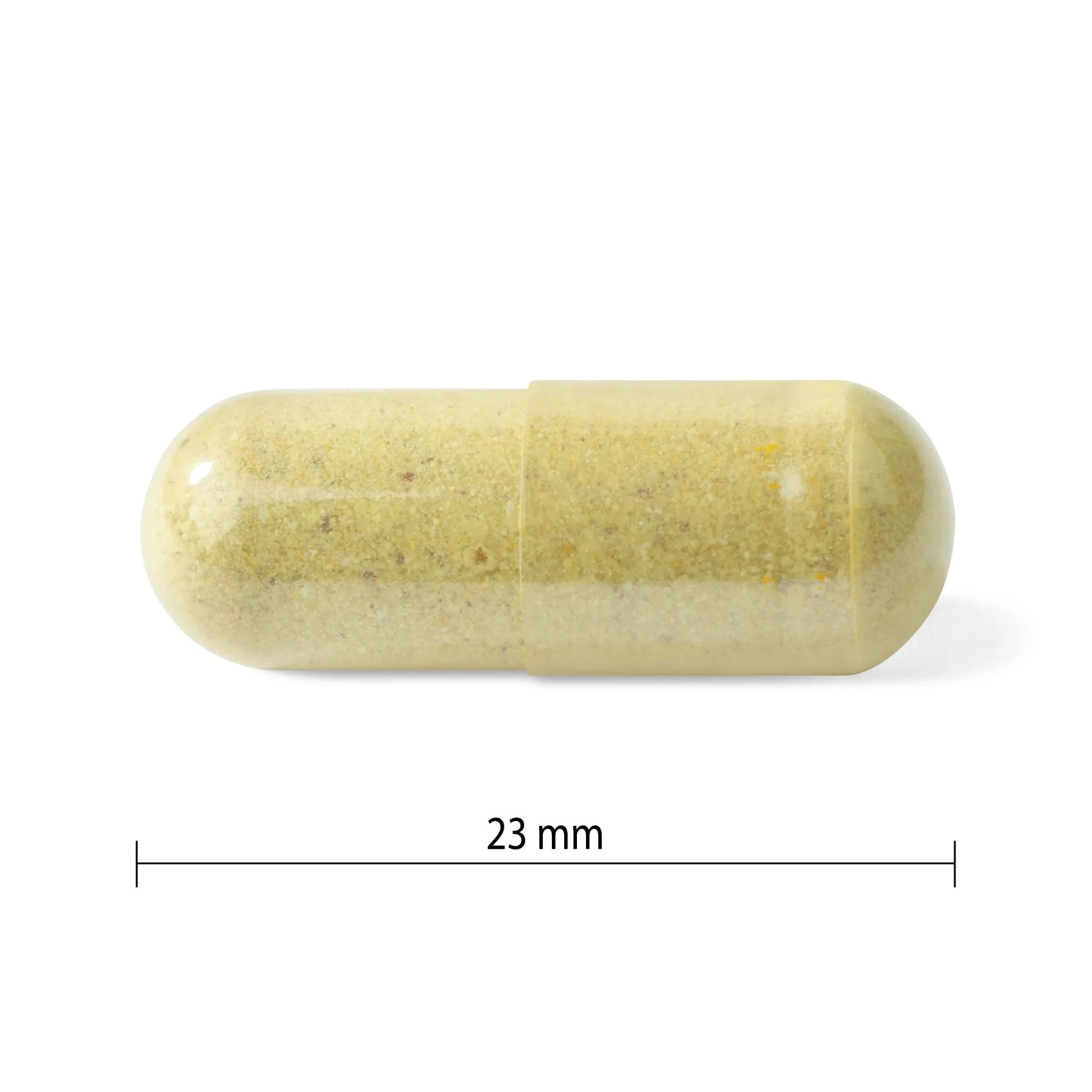 Progressive MultiVitamin Adult Men 120c - Nature's Source Inc