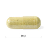 Progressive MultiVitamin Adult Men 120c - Nature's Source Inc