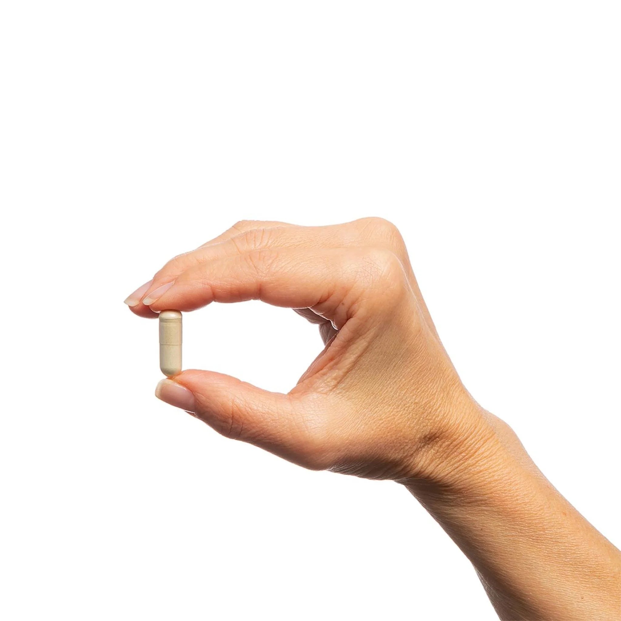 Metagenics SeroSyn 90 Capsules - Nature's Source Inc
