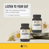 Living Alchemy Your Flora Professional 60 Vegan Capsules