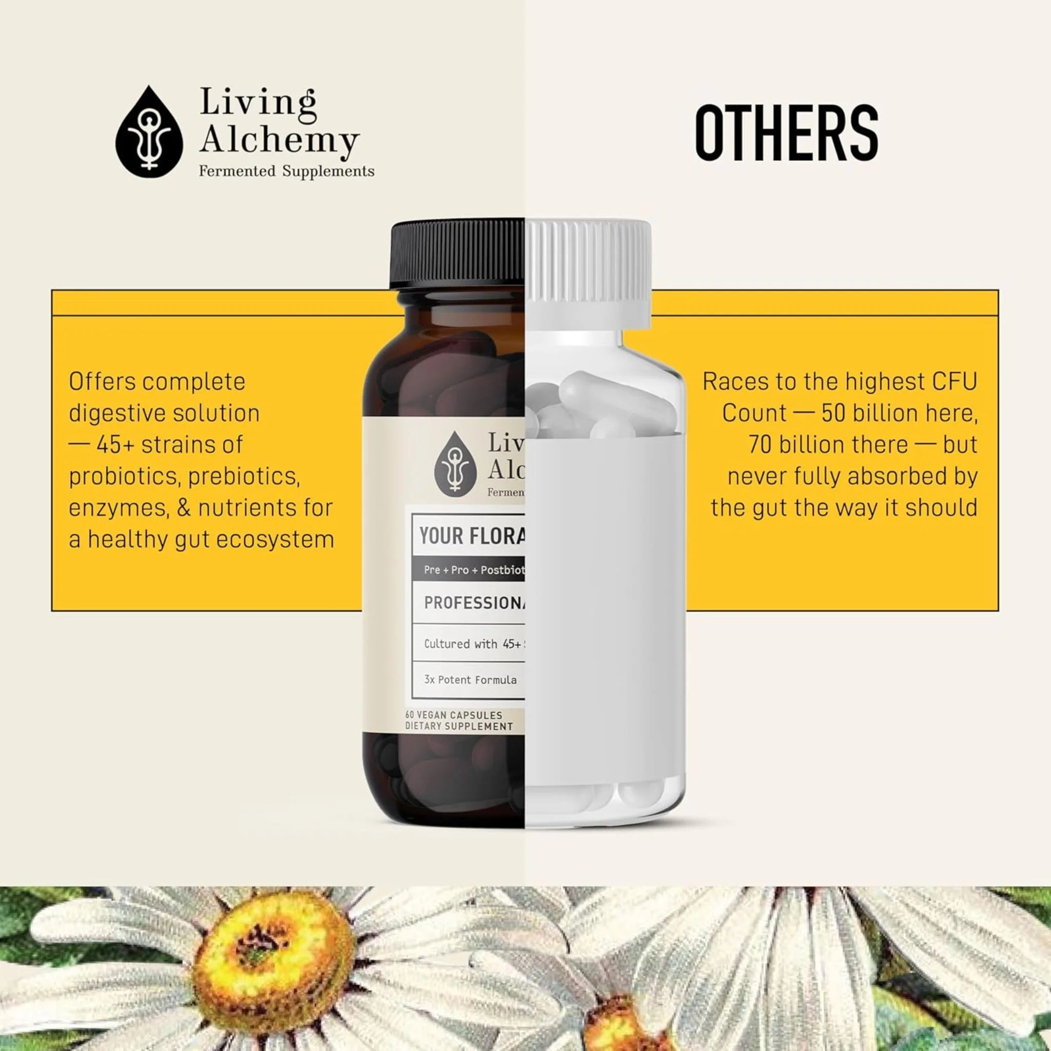 Living Alchemy Your Flora Professional 60 Vegan Capsules