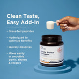 Designs for Health Whole Body Collagen 390g - Nature's Source Inc