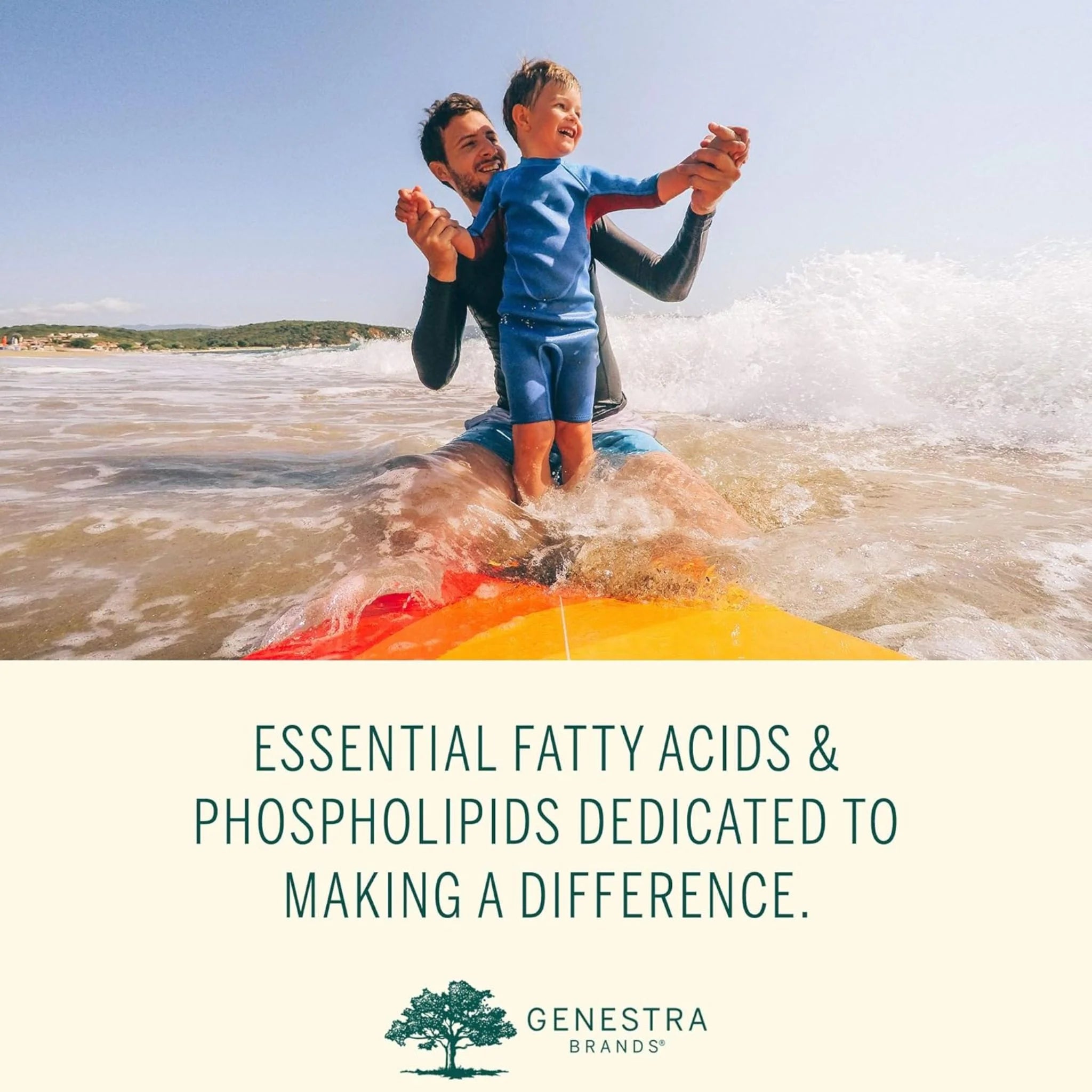 Genestra Brands Phos Choline 90c - Nature's Source Inc