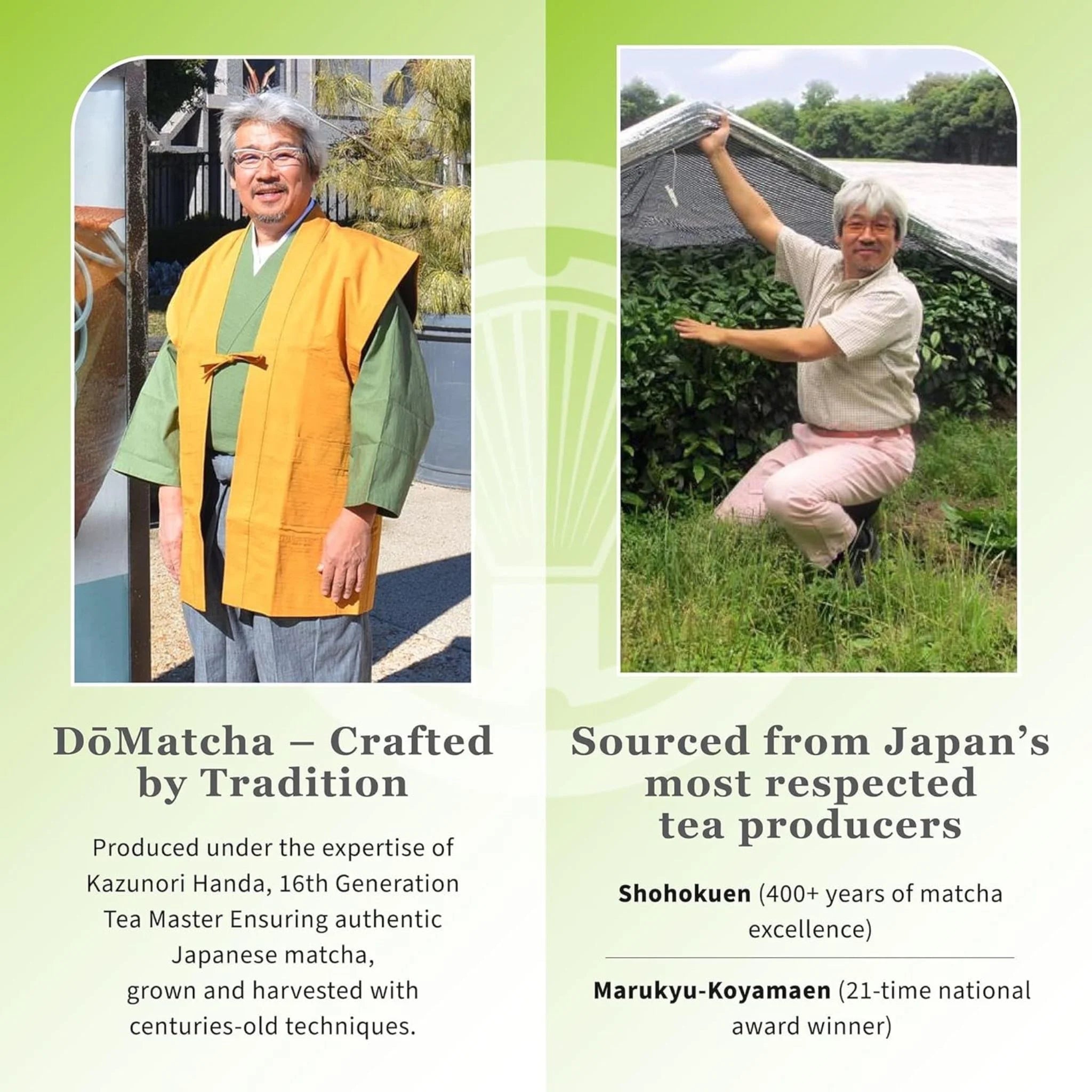 Do Matcha Ceremonial Matcha Ancient Japanese Green Tea - 30g - Nature's Source Inc