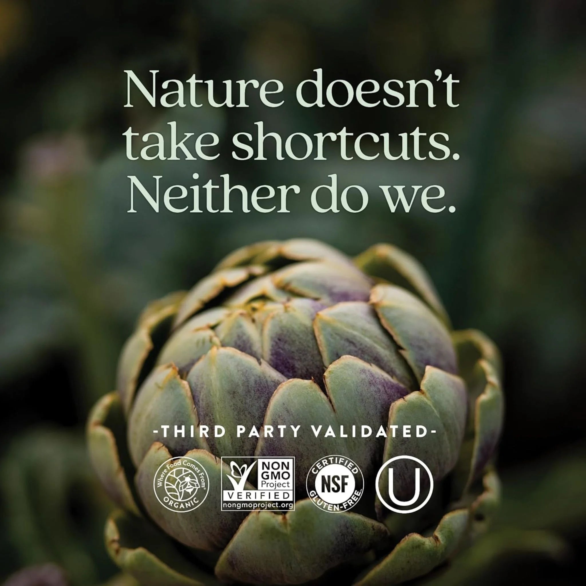 New Chapter Every Man's One Daily 55+ 60 Tablets - Nature's Source Inc