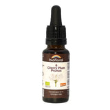 Biofloral Cherry Plum 6 20ml