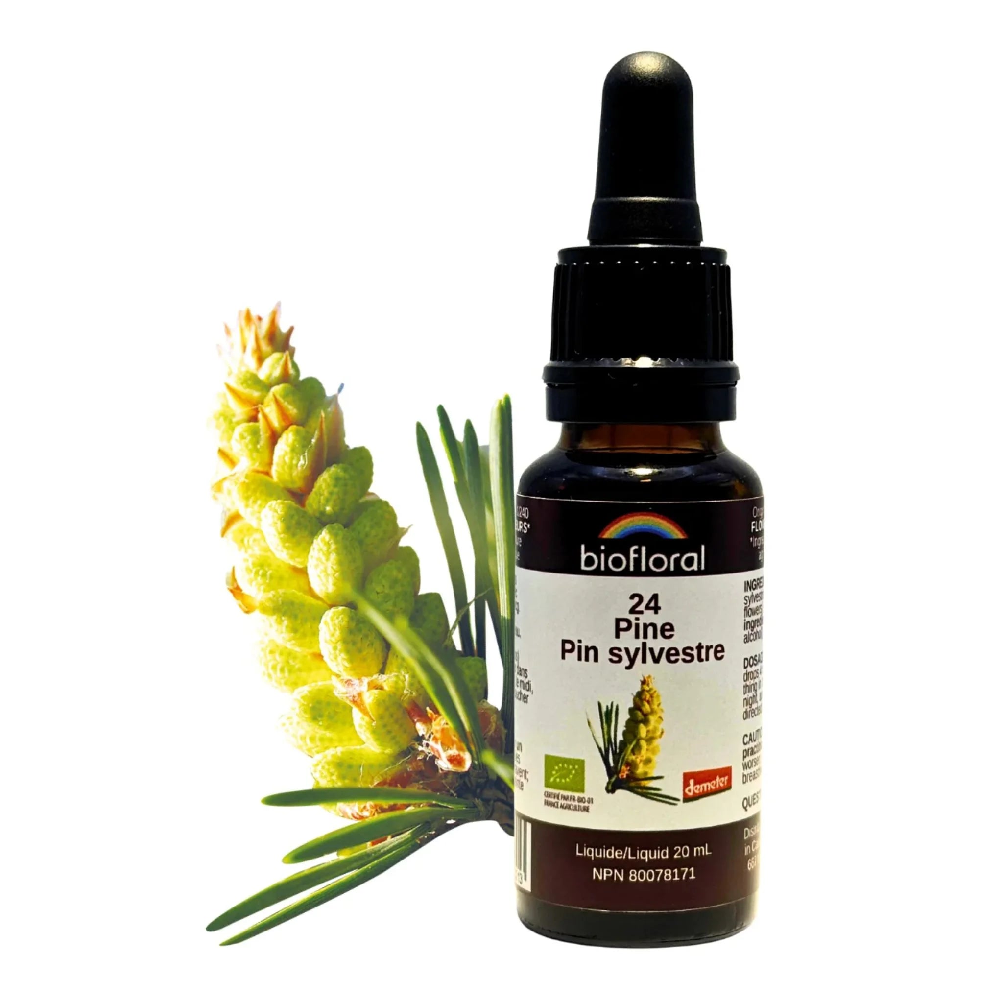 Biofloral 24 Pine 20mL