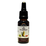 Biofloral 24 Pine 20mL