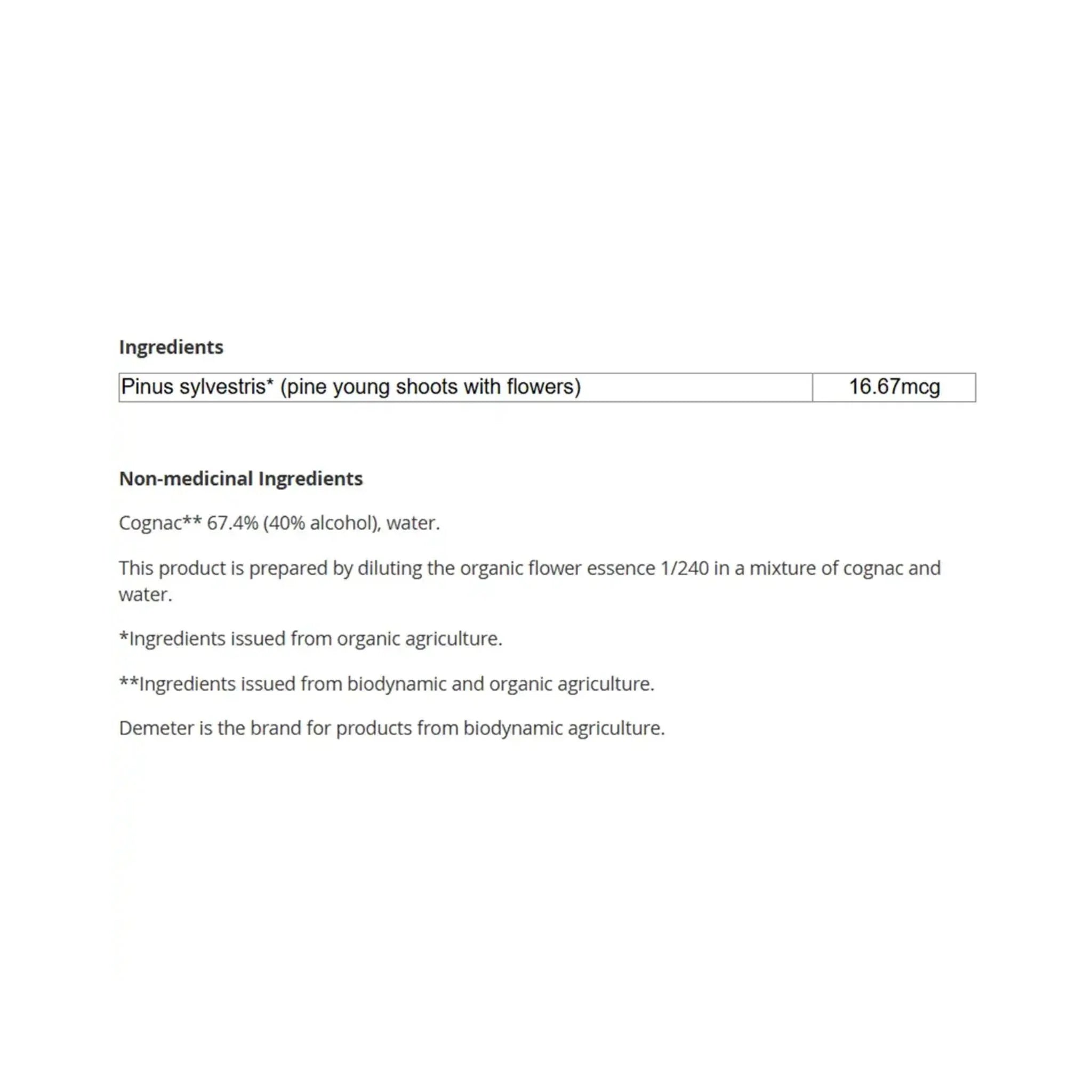 Biofloral 24 Pine 20mL