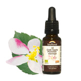 Biofloral 10 Crab Apple 20mL