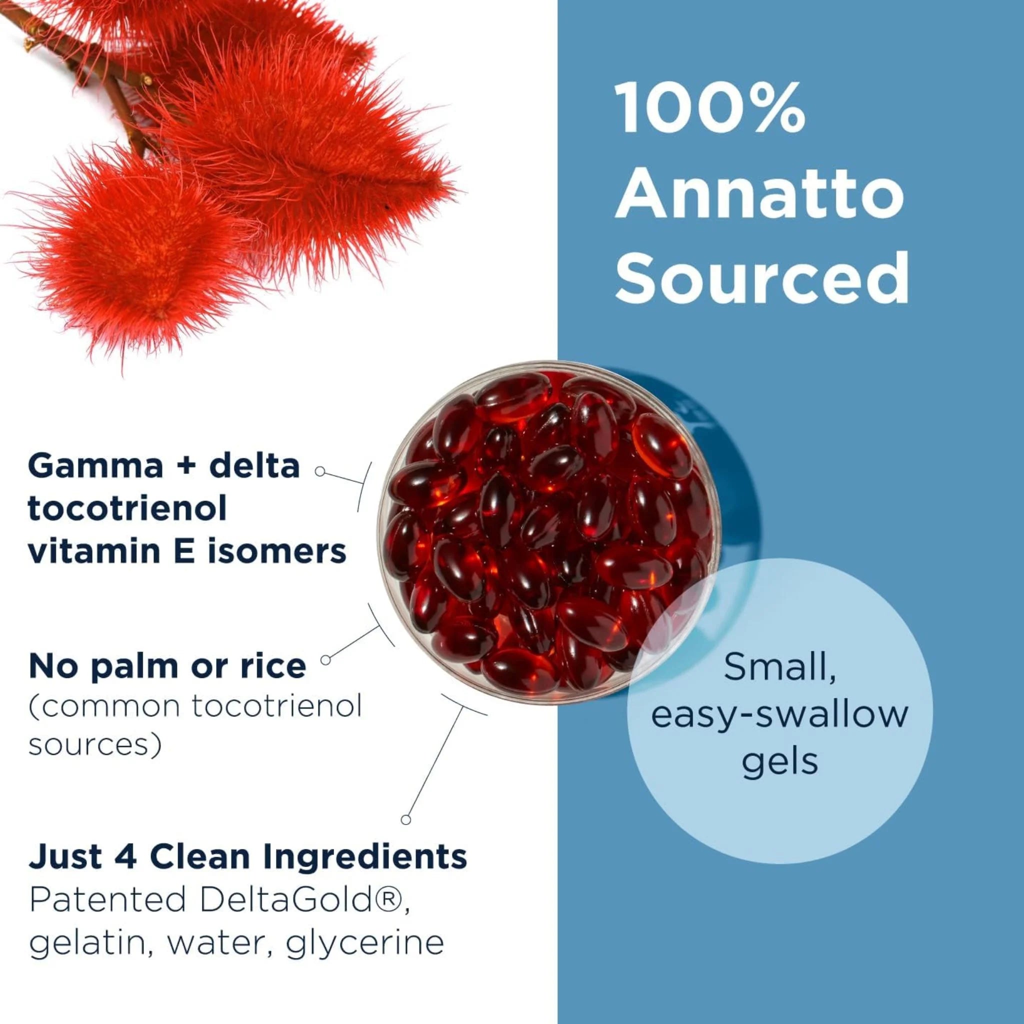 Designs for Health Annatto - E™ 300 30 Softgels - Nature's Source Inc