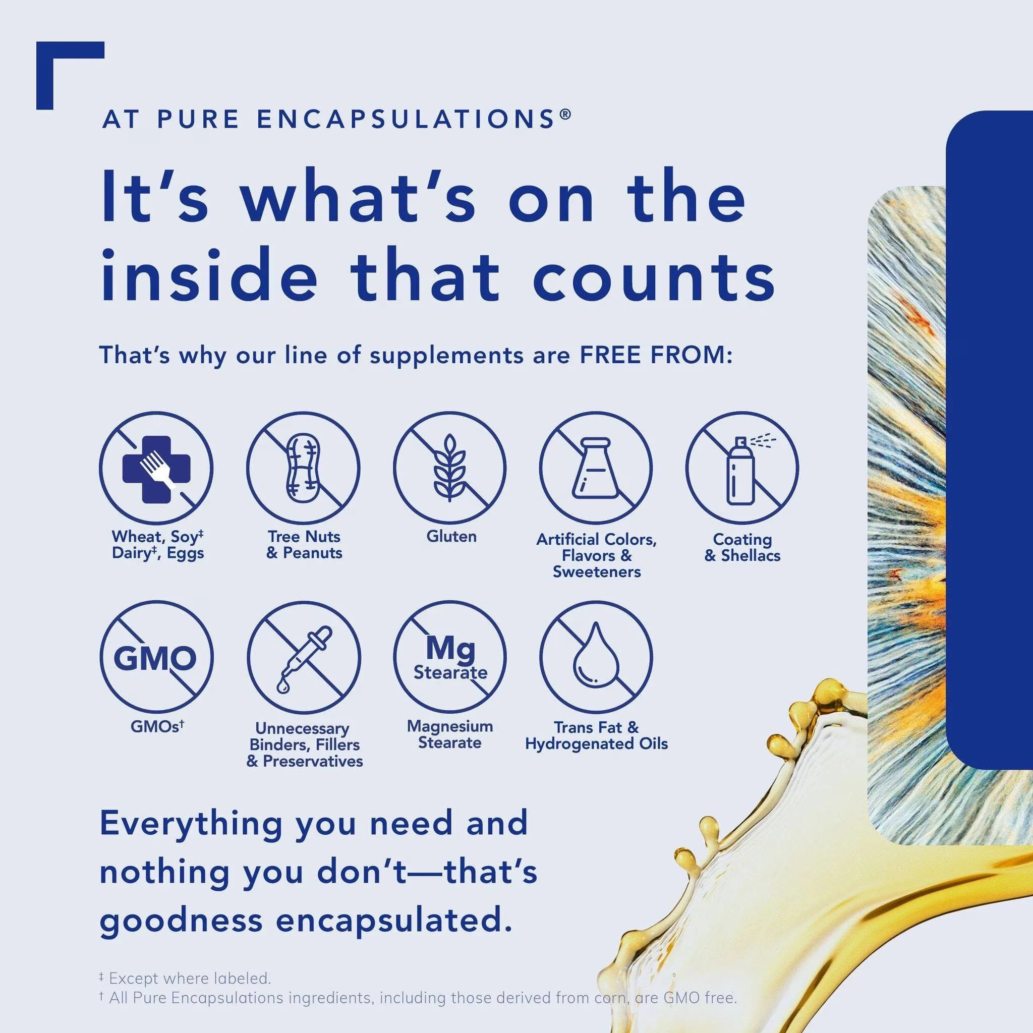Pure Encapsulations Acetyl-l-Carnitine 60 Veg-Caps