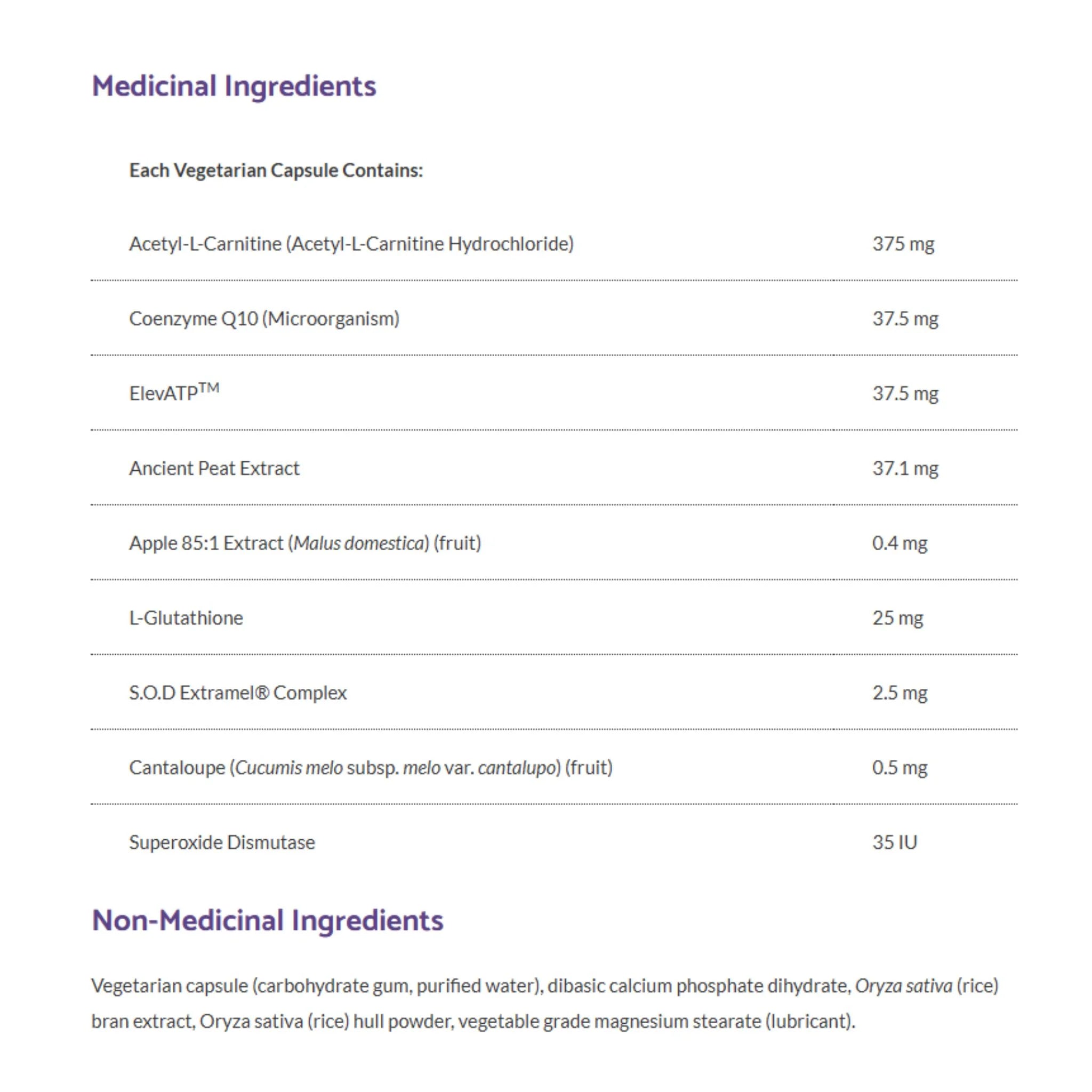 Bioclinic Naturals Mitochondrial Formula 120 Vegetarian Capsules - Nature's Source Inc