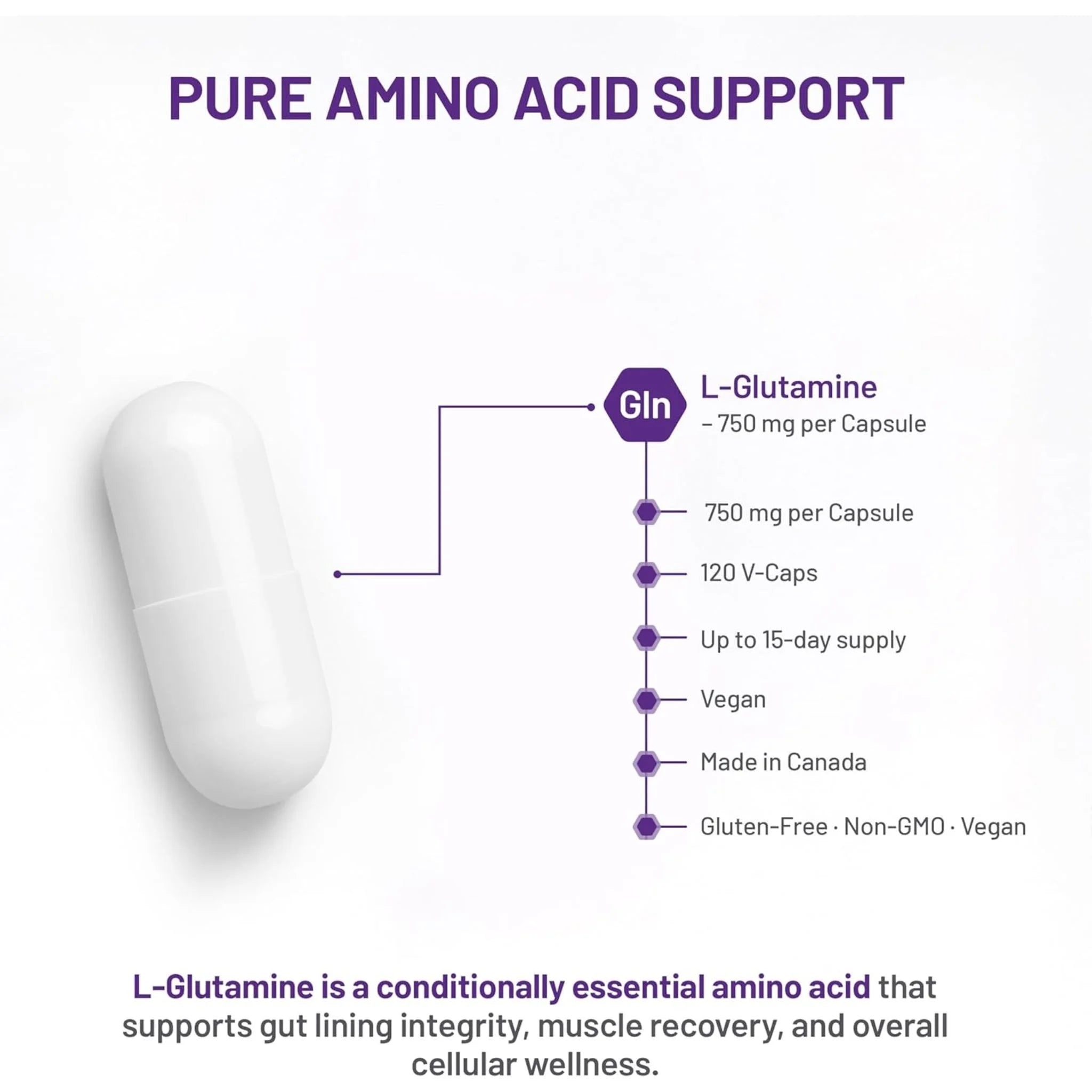 AOR L-Glutamine 120 Veg-Caps - Nature's Source Inc