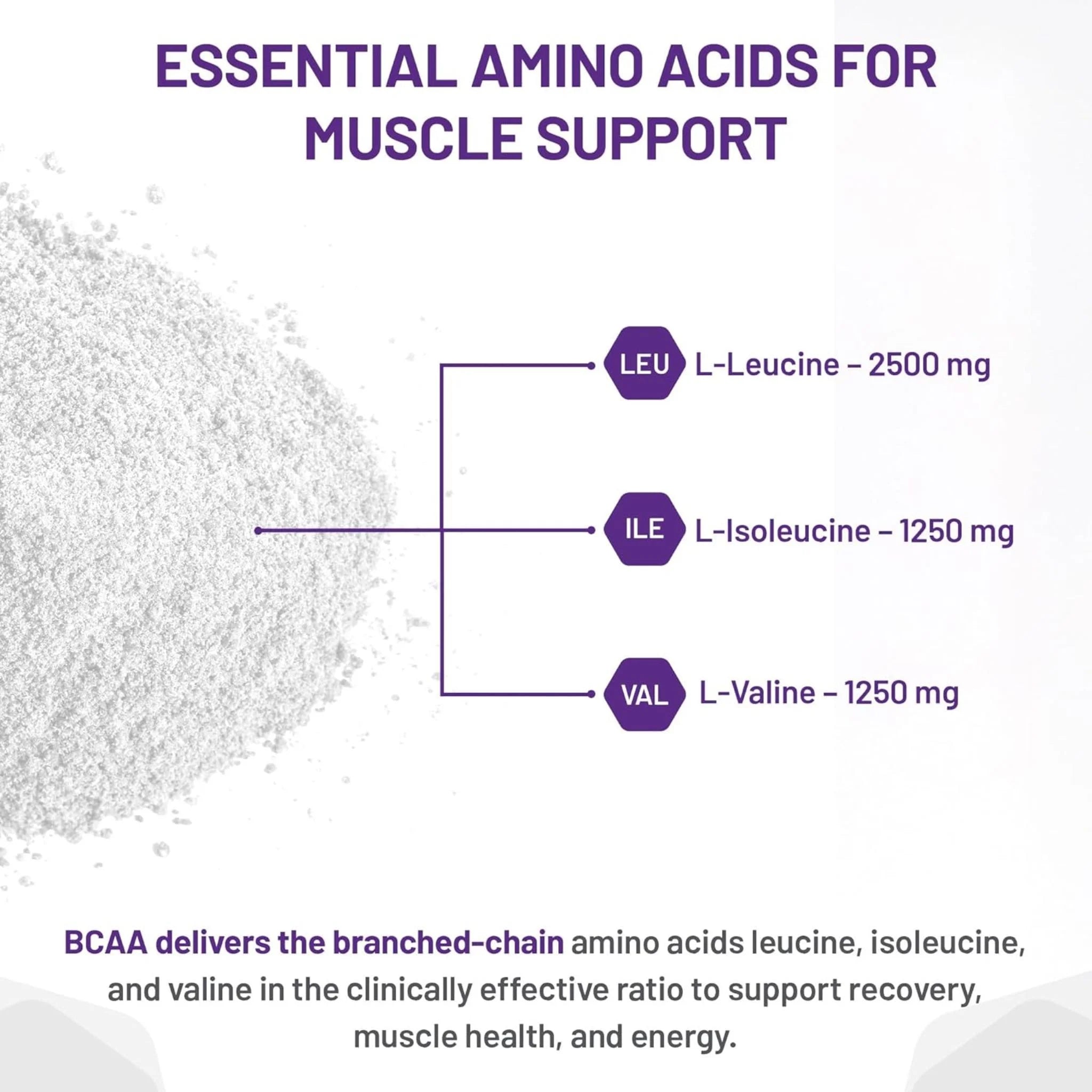 AOR Bcaa Vegetarian 300 g