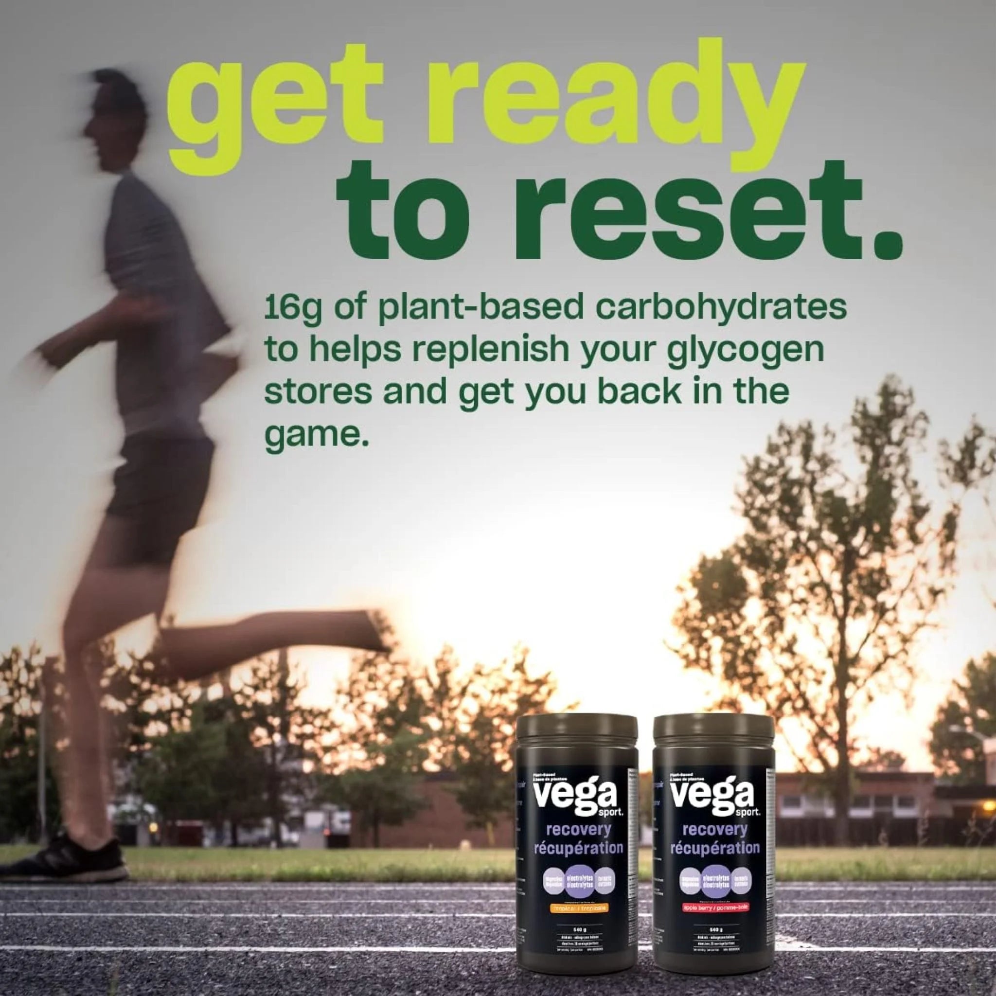 Vega Sport Recovery Apple Berry 540g