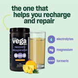 Vega Sport Recovery Tropical 540g - Nature's Source Inc