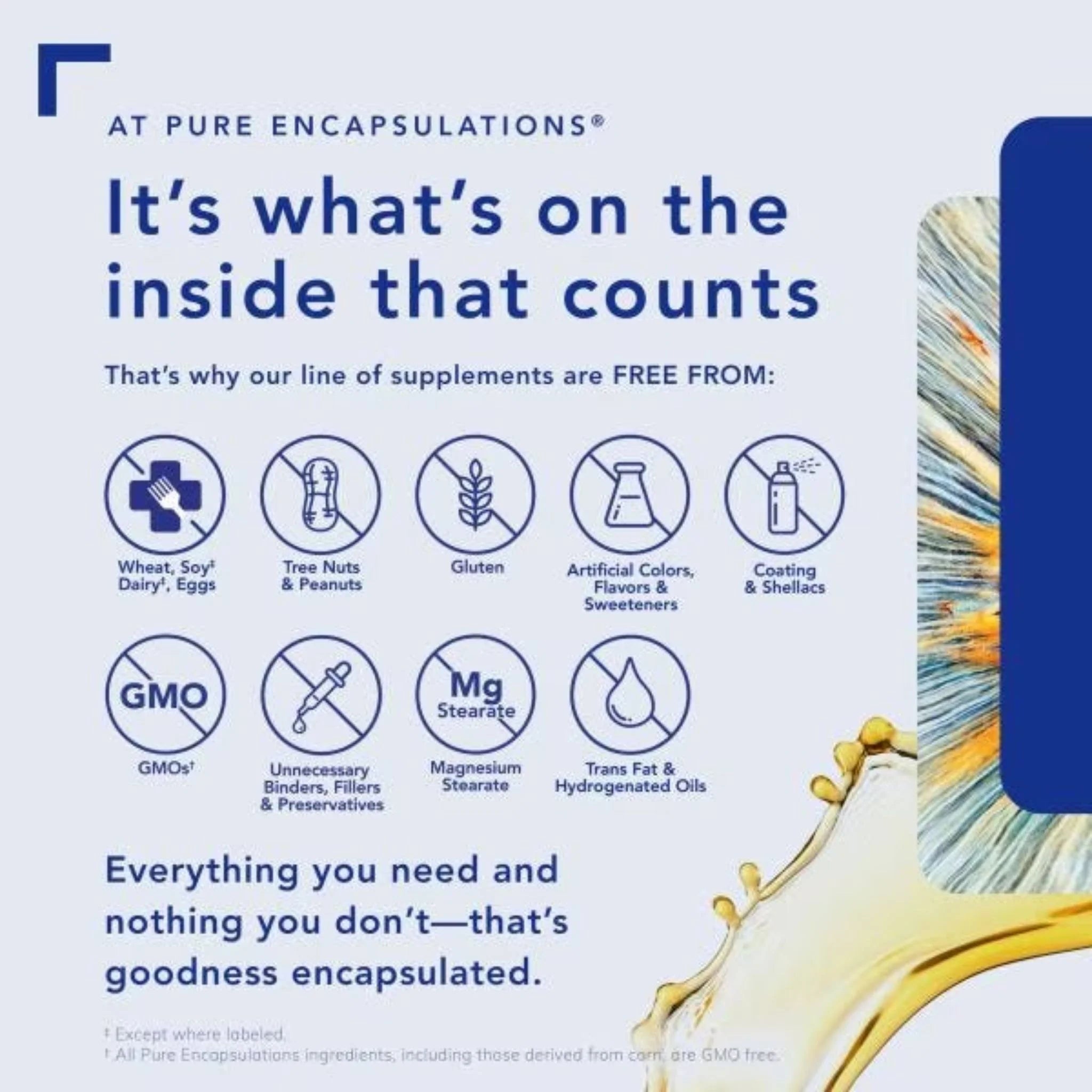 Pure Encapsulations L-Glutamine 227g
