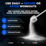 Allmax Creatine 1000g
