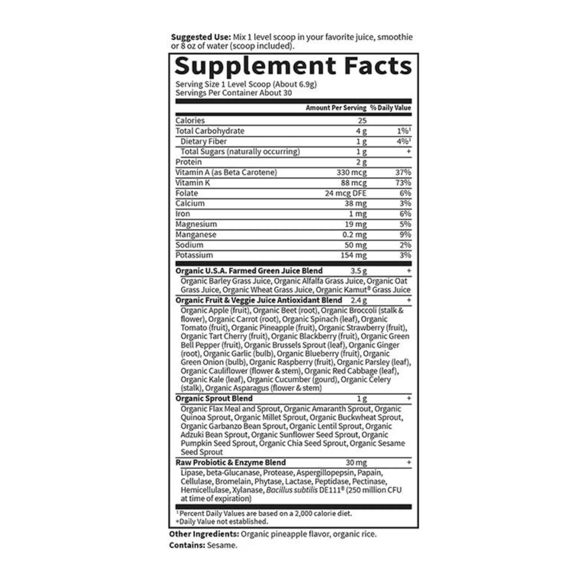 Garden of Life Raw Organic Perfect Food Green Superfood Powder Original 207g - Nature's Source Inc