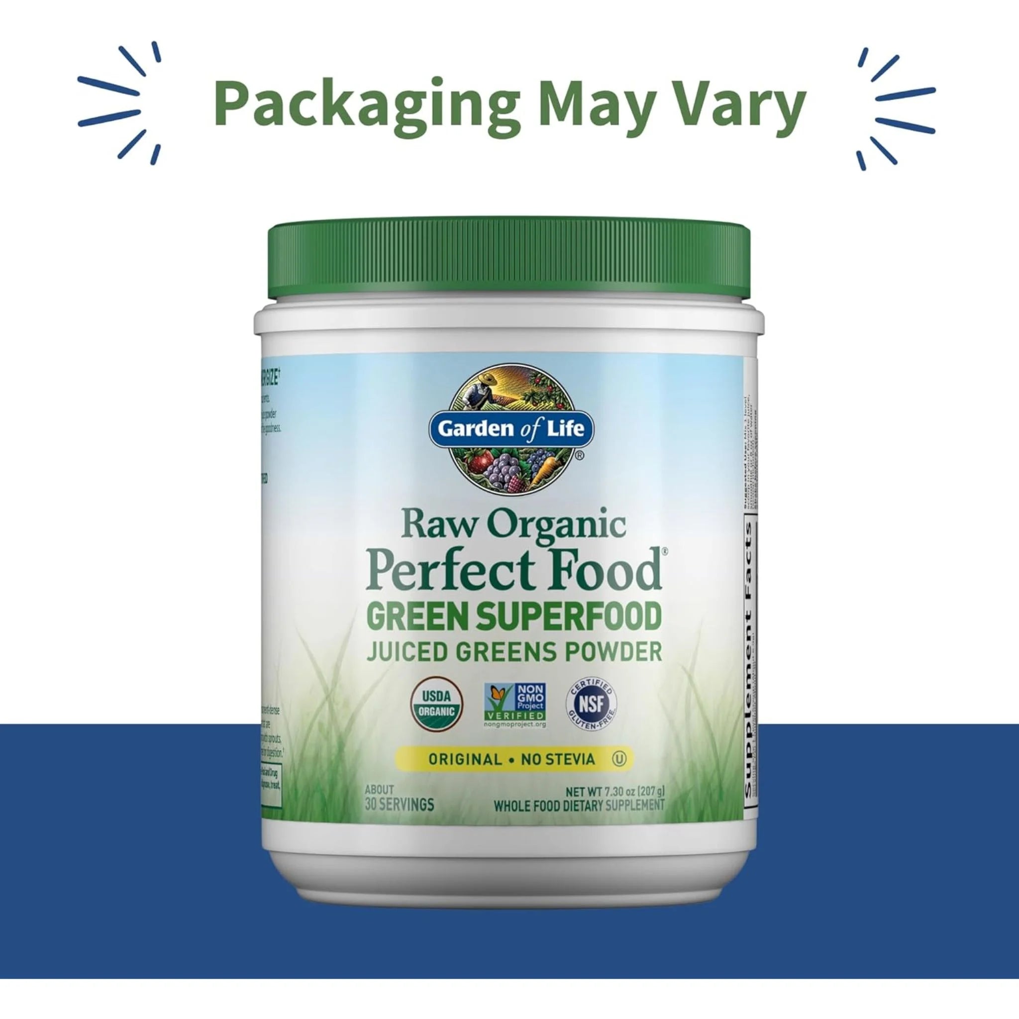 Garden of Life Raw Organic Perfect Food Green Superfood Powder Original 207g - Nature's Source Inc