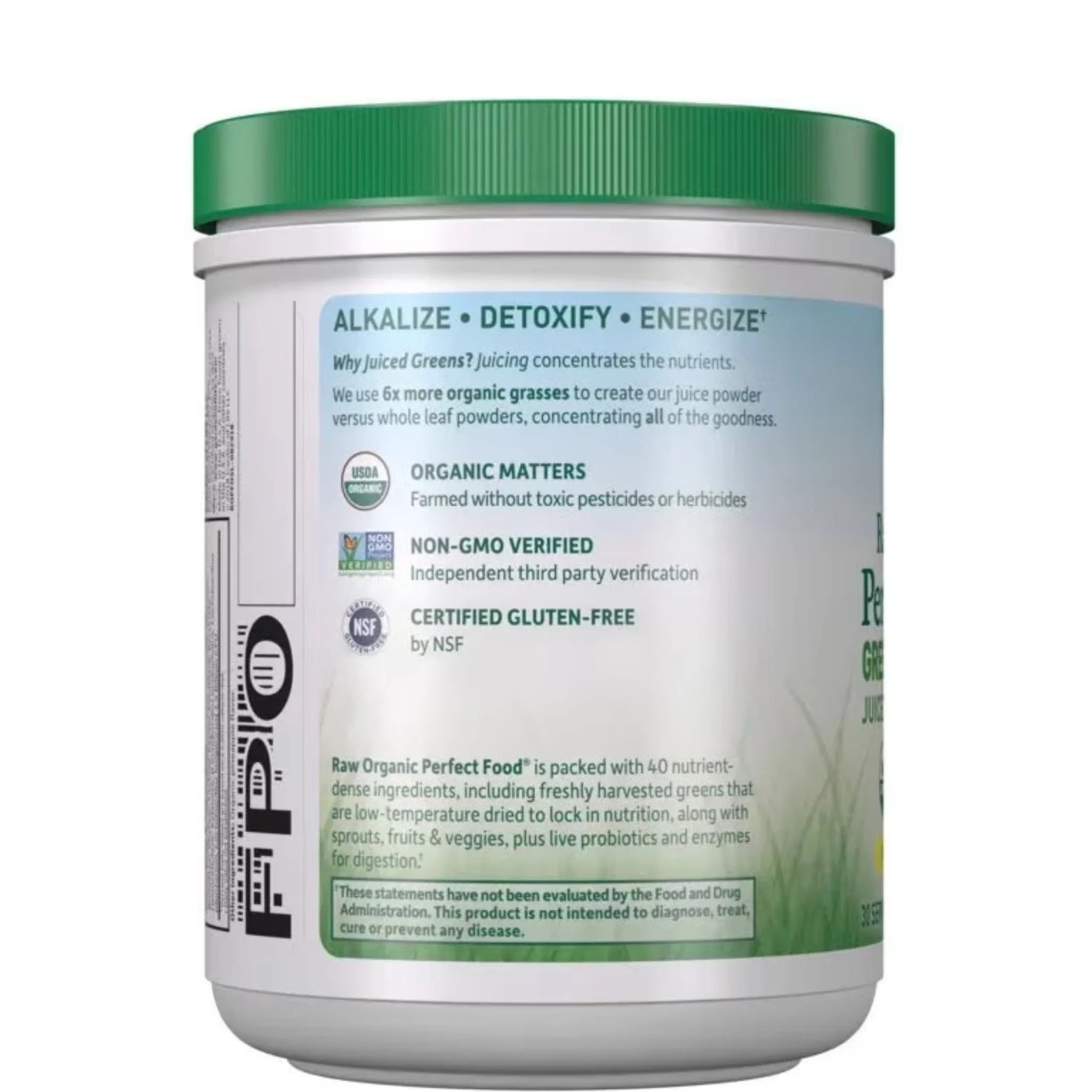 Garden of Life Raw Organic Perfect Food Green Superfood Powder Original 207g - Nature's Source Inc