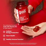 Goli Apple Cider Vinegar Gummy Vitamins 240g (60 Gummies) - Nature's Source Inc