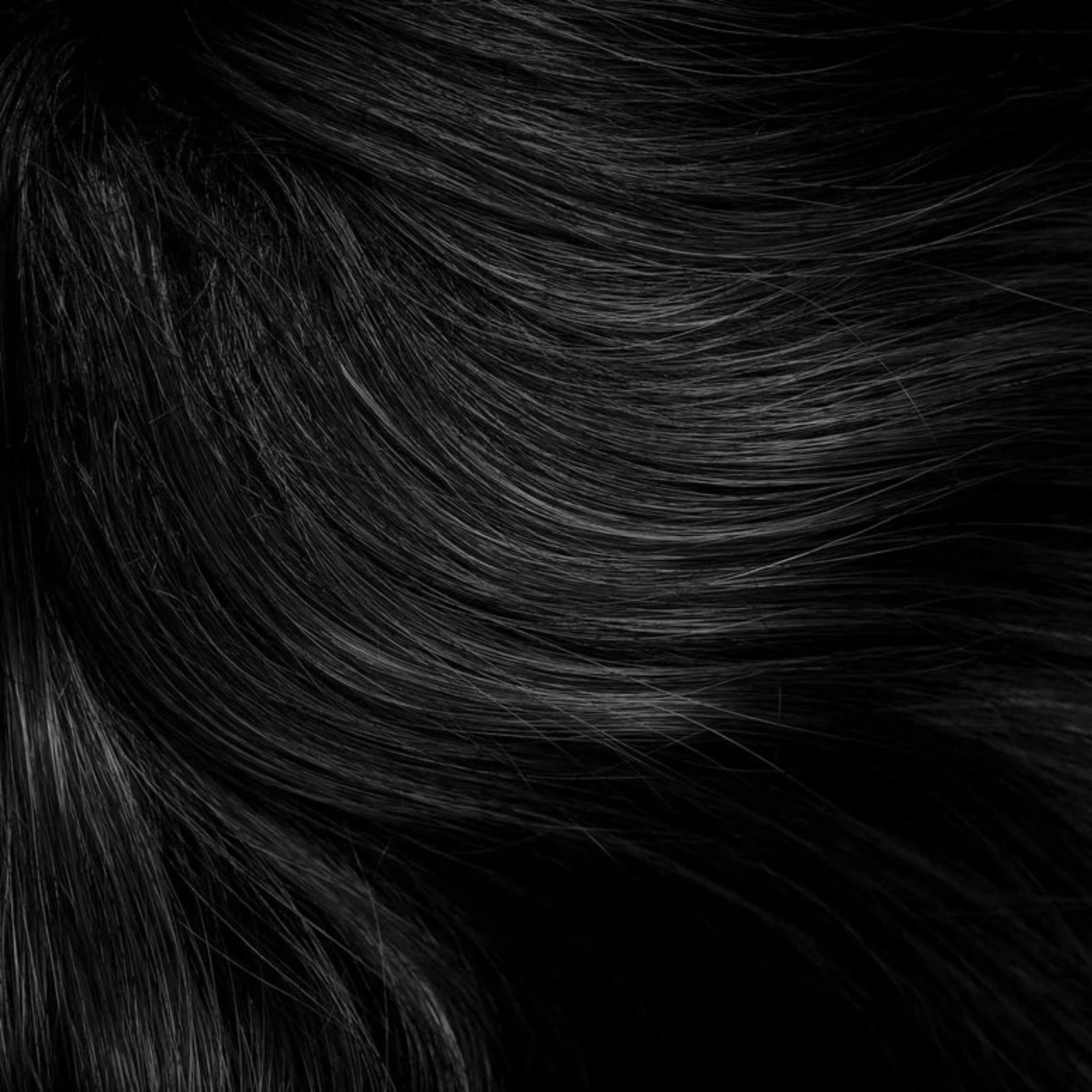 Tints of Nature 1N Natural Black Permanent Hair Color - 130ml - Nature's Source Inc