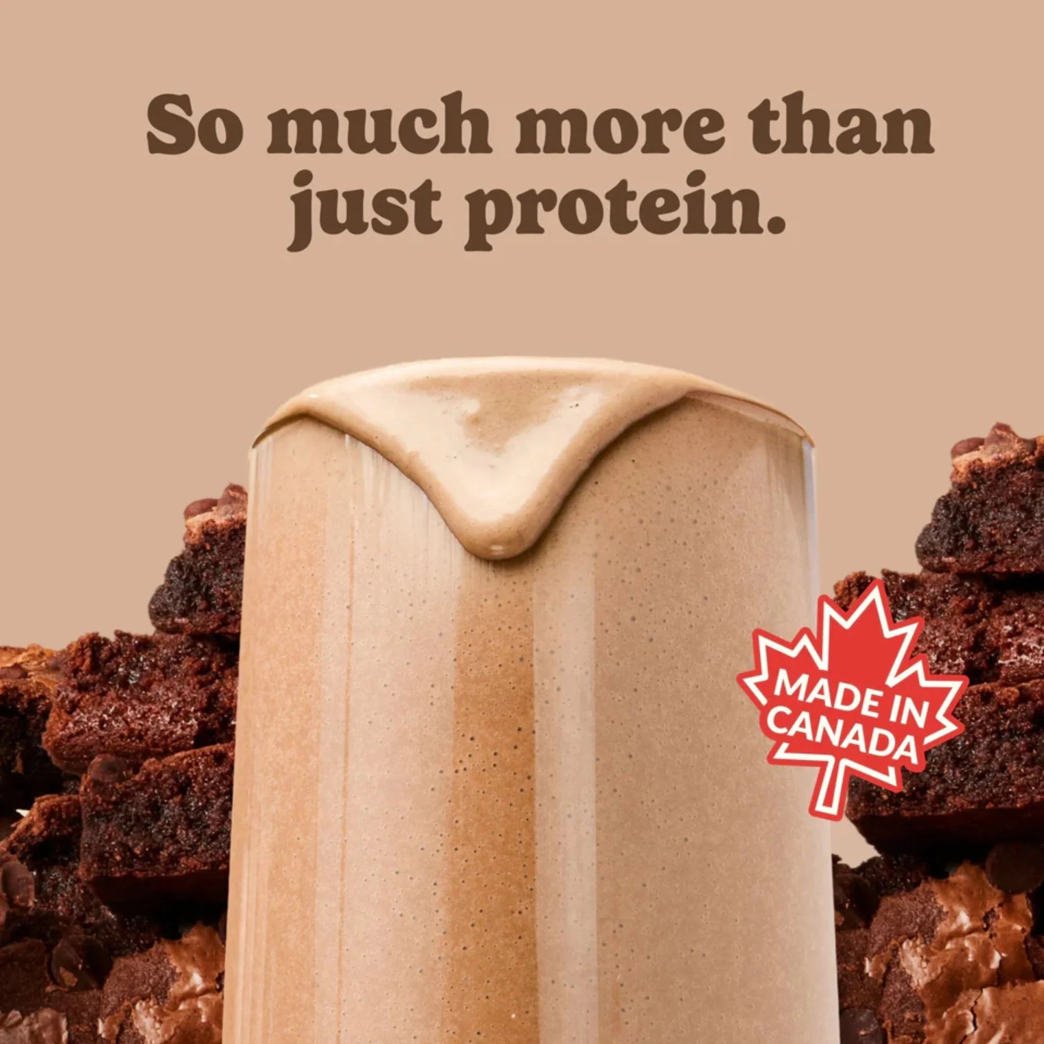 Good Protein Chocolate Fudge 440g - Nature's Source Inc