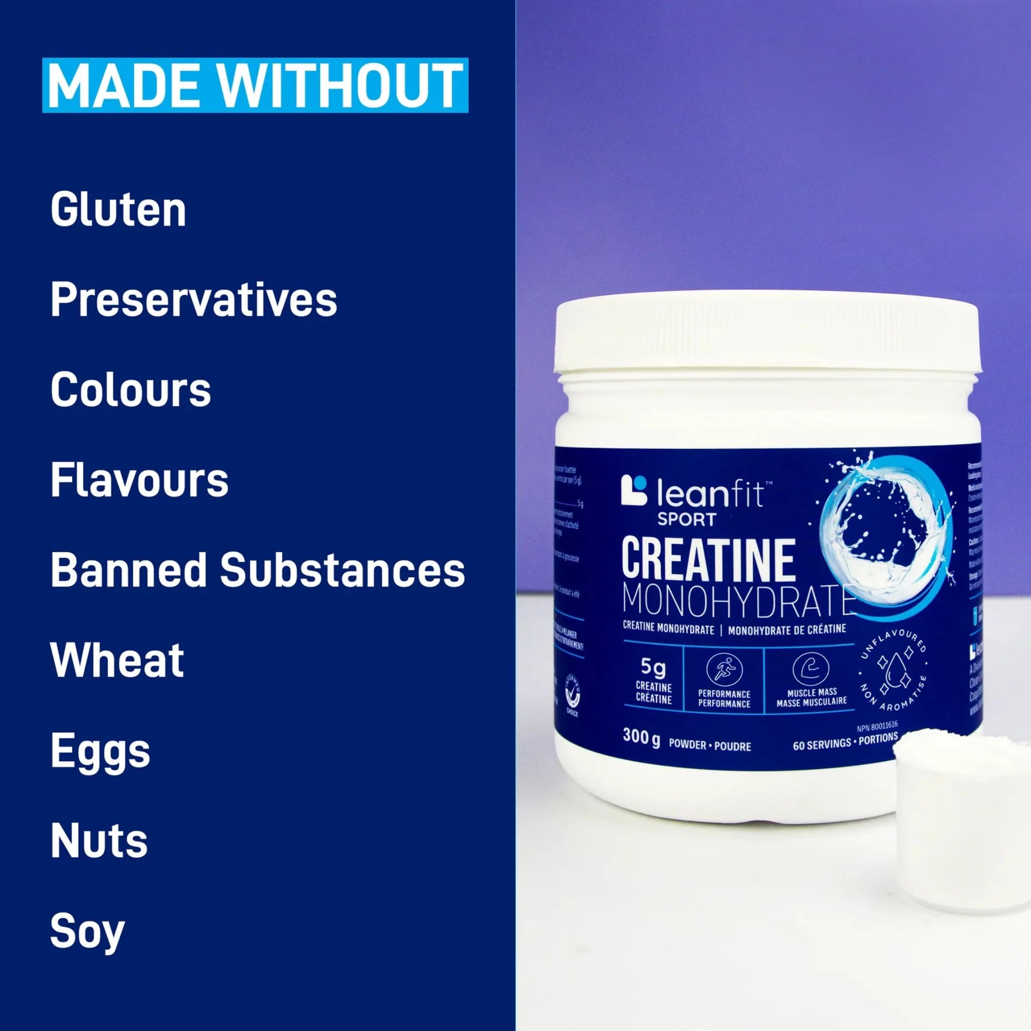 LeanFit Creatine Monohydrate Unflavoured 300g - Nature's Source Inc