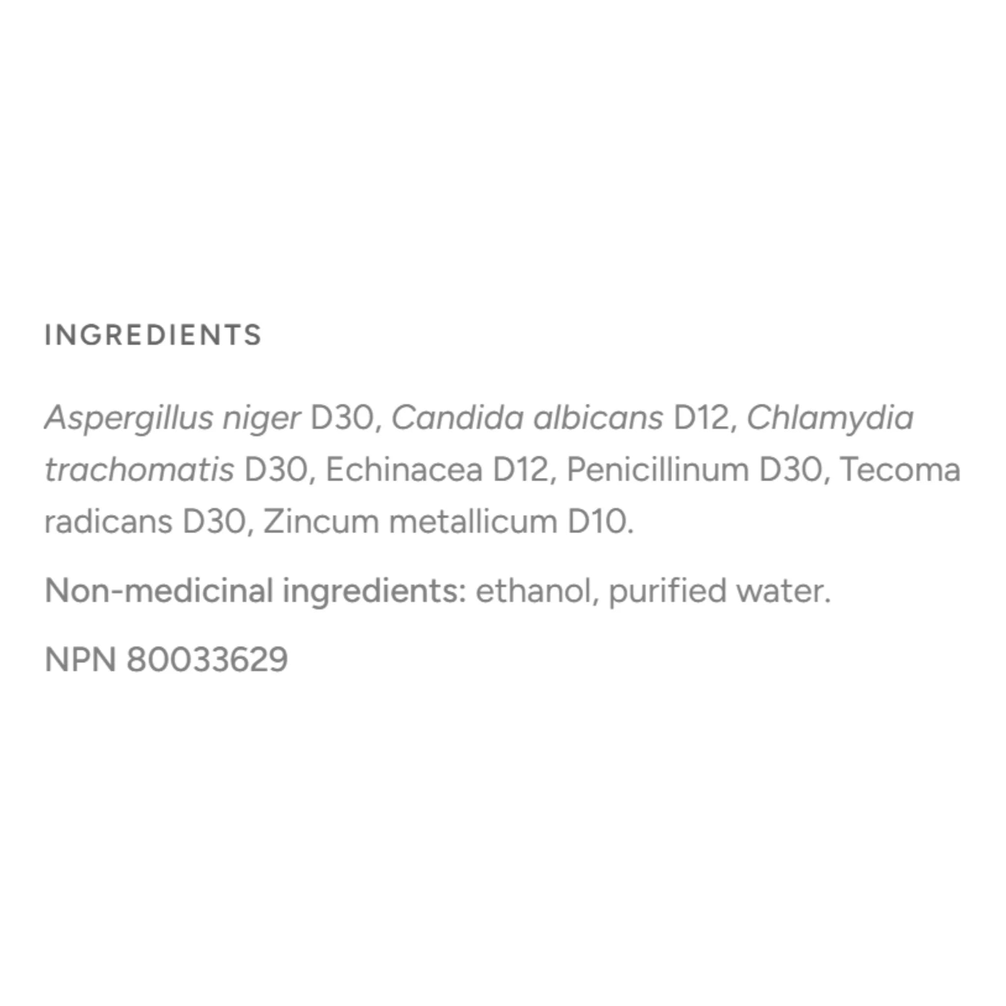 Dr. Reckeweg BIO 82 Anti Fungal Drop 30ml - Nature's Source Inc