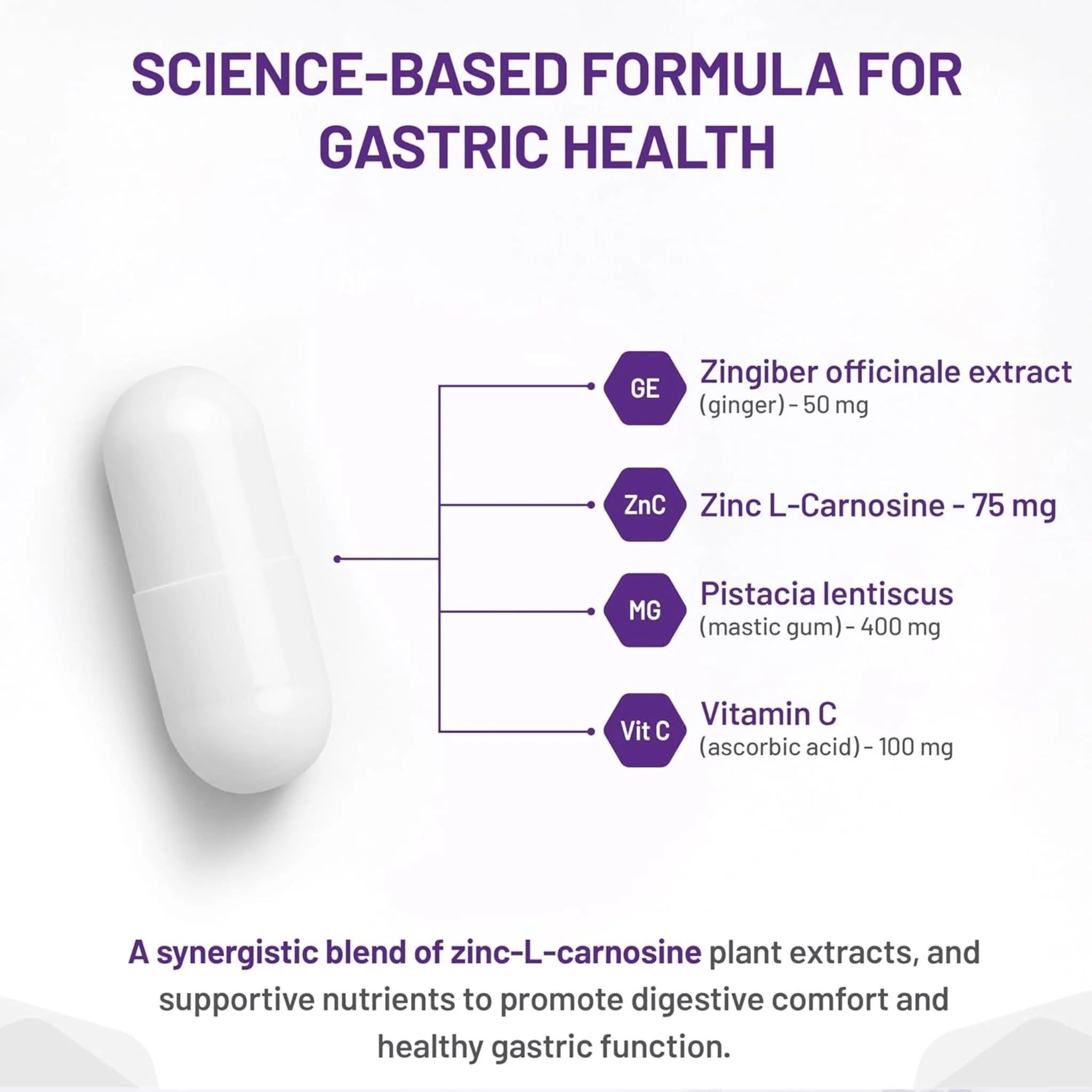 AOR Gastro Relief 60 Veg-Caps