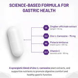 AOR Gastro Relief 60 Veg-Caps