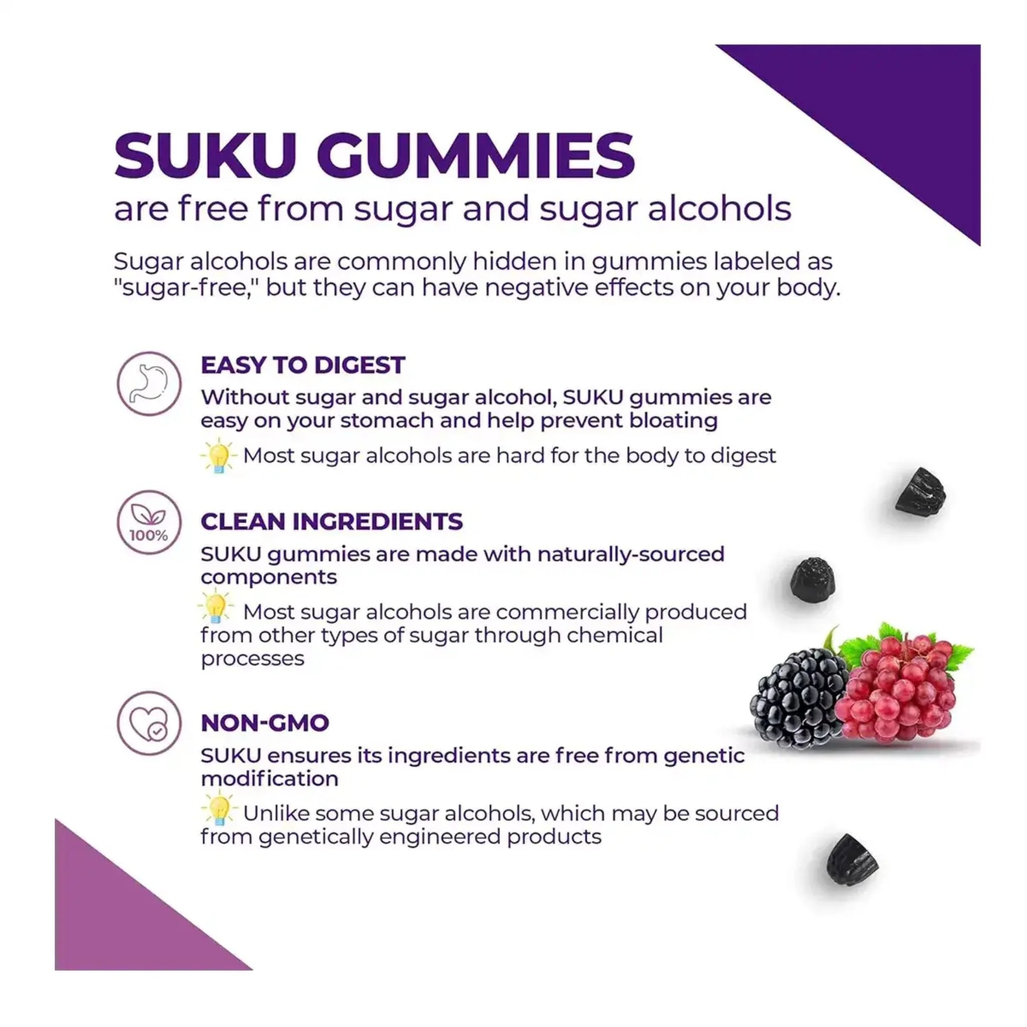 Suku Mega Magnesium 60 Gummies - Nature's Source Inc