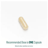 Genestra Brands Liv Complex 90 Capsules - Nature's Source Inc