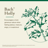 Bach Holly 20 ml