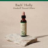 Bach Holly 20 ml